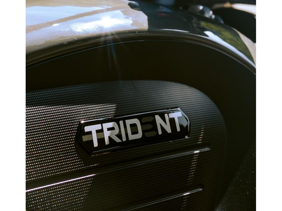 TRIDENT GRIS NARDO