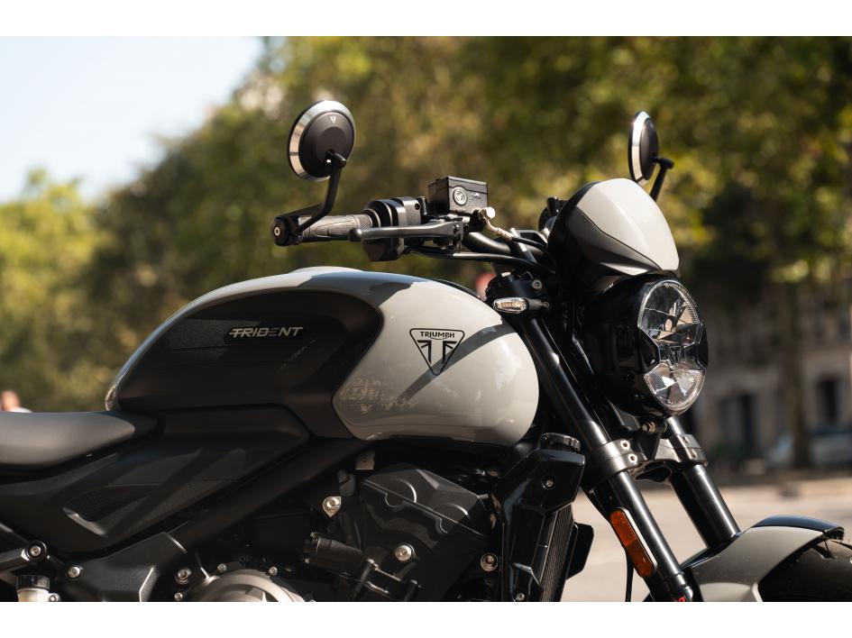 TRIDENT GRIS NARDO